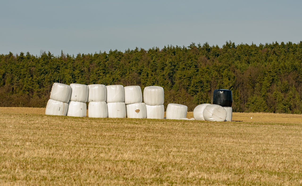 Crafting Captivating Headlines: Your awesome post title goes here Plastic-wrapped hay bales on a rural field with a forest background under blue skies.