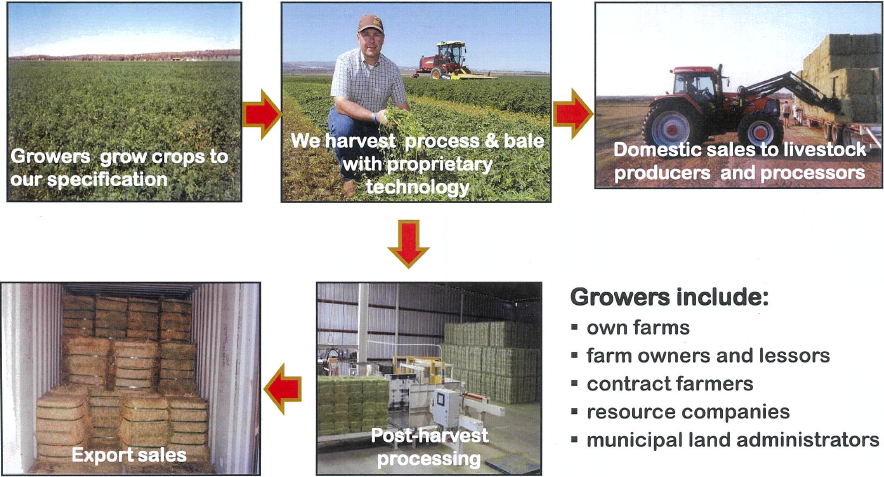 high nutrient fodder business